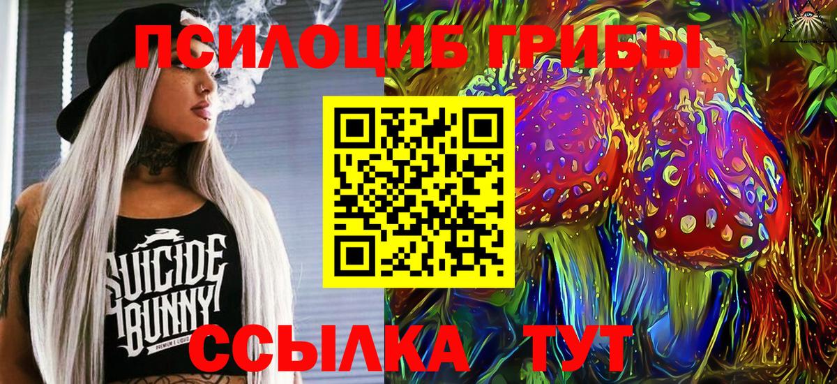 Псилоцибиновые грибы Psilocybine cubensis  Вход с VPN  Ейск  Галлюциногенные грибы GOLDEN TEACHER 